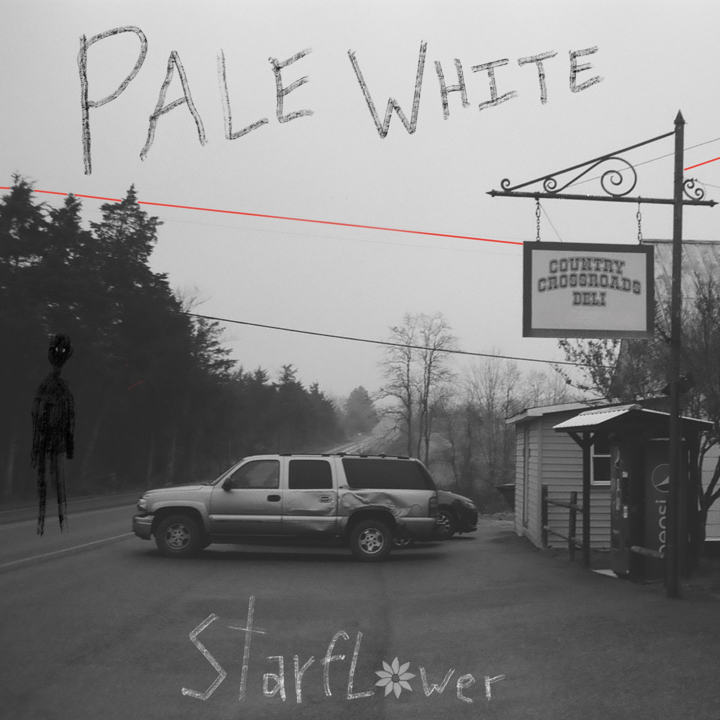 Pale White Starflower